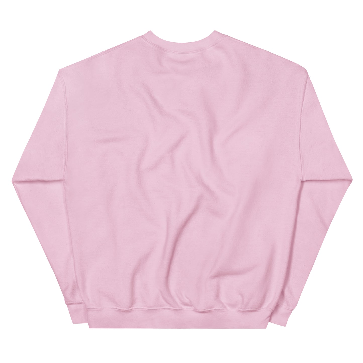 Loved Dino Sweatshirt